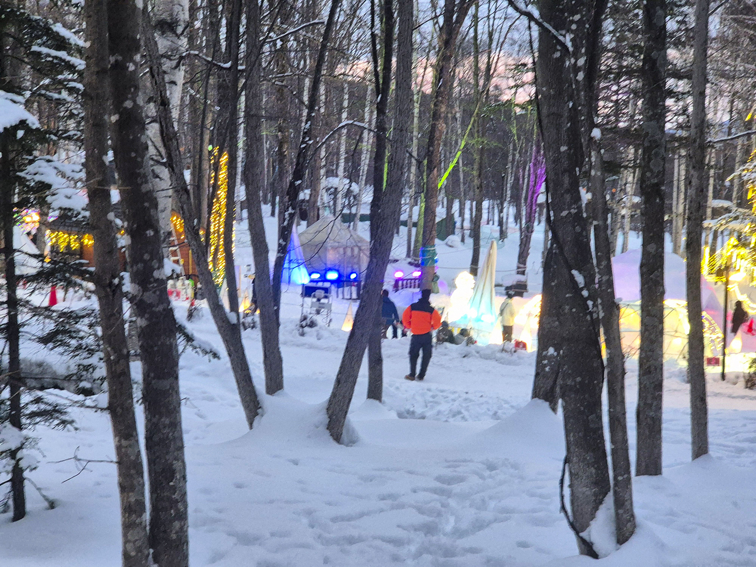 닝구르테라스 액티비니 중 하나&amp;#44; 썰매 2