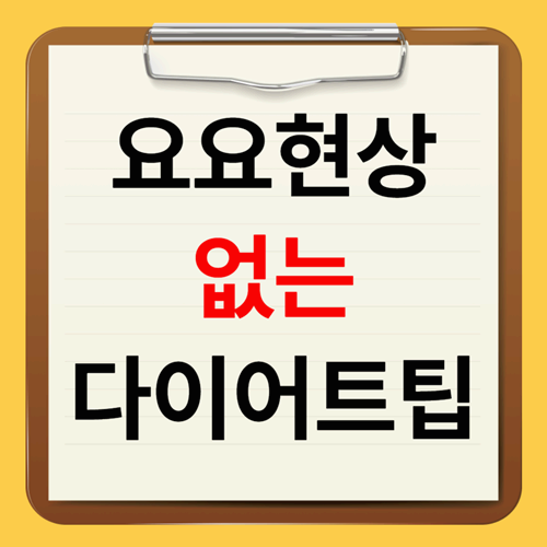요요현상 방지법 건강한 다이어트 유지하는 핵심 비법