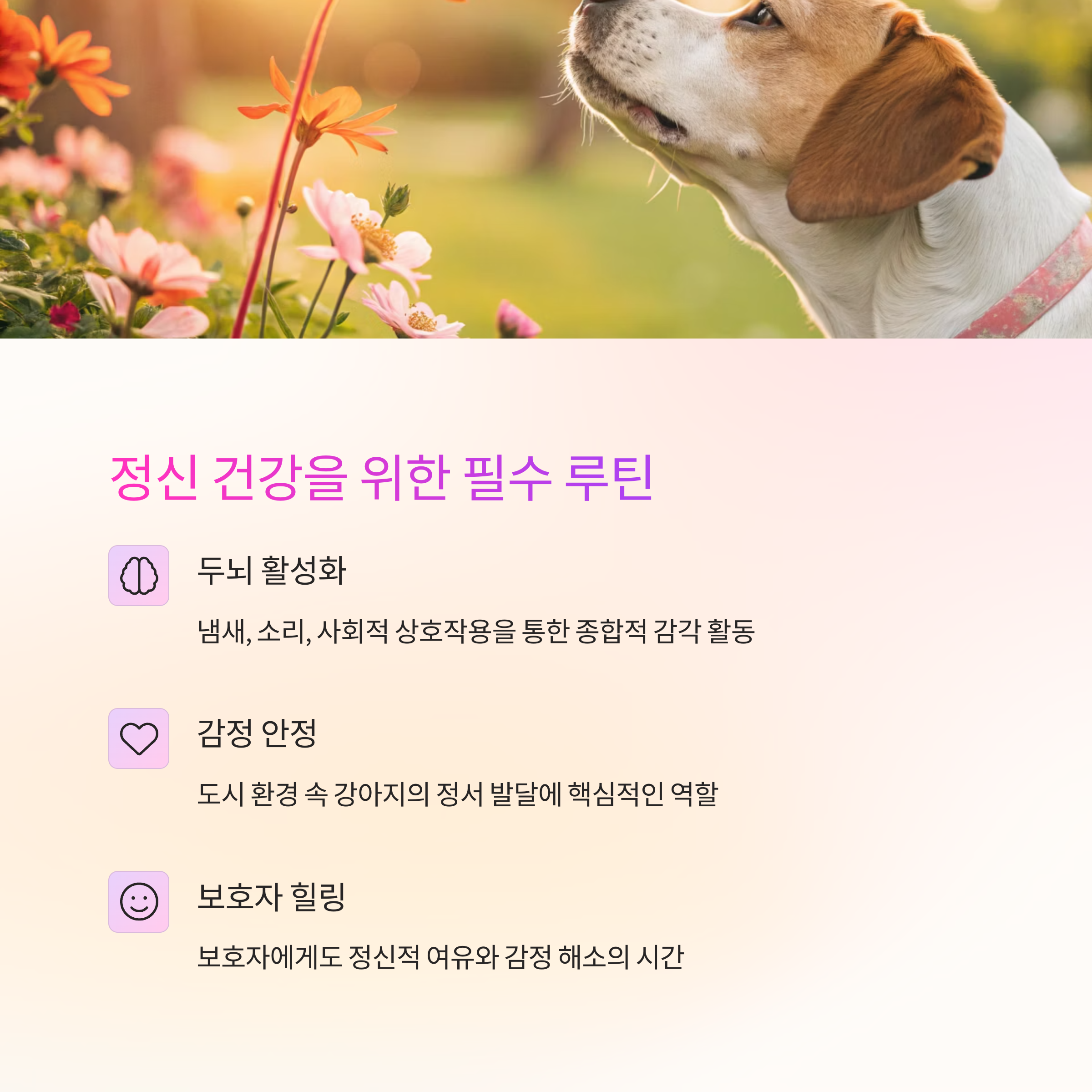 전신 건강을 위한 루틴