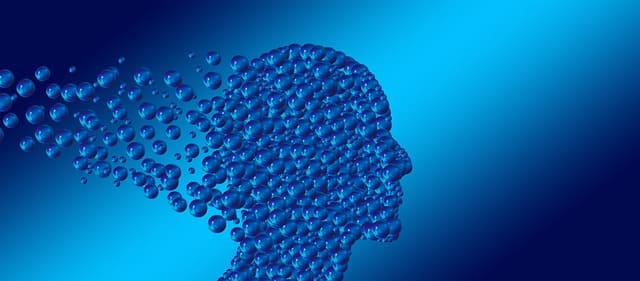 청년 심리상담 바우처