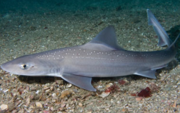 울진 아쿠아리움