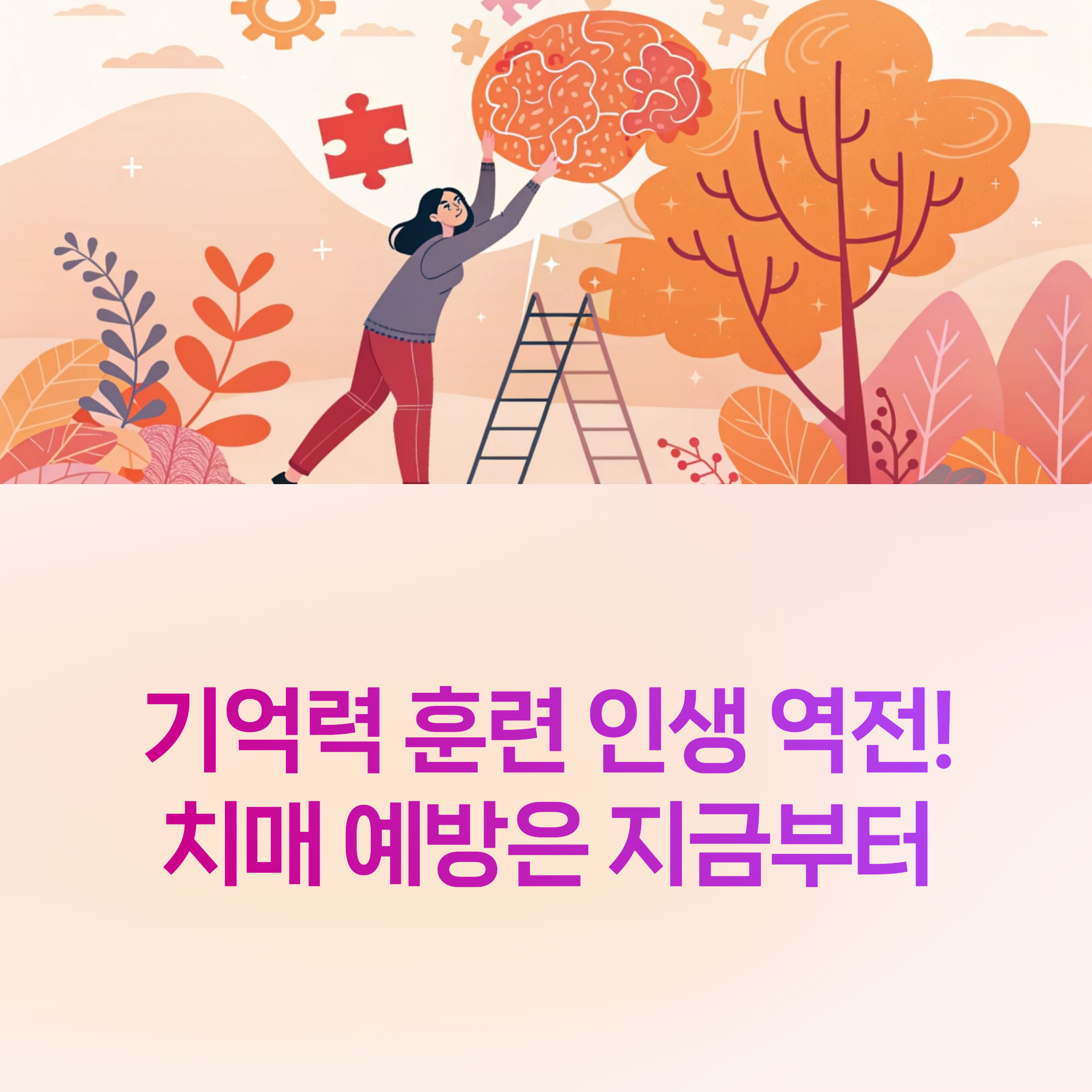 기억력 훈련,
