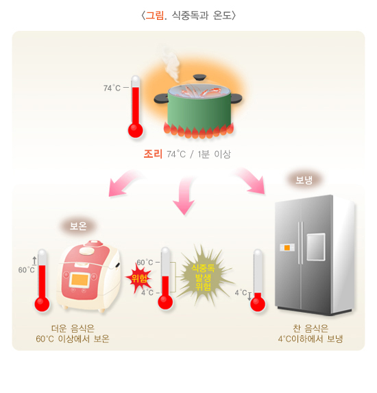 식중독 원인 및 증상