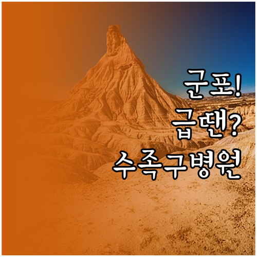 군포 근처 수족구 진료 병원 추천..