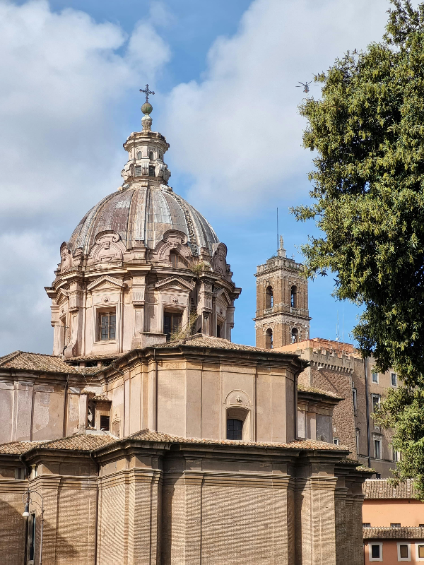 ​유흥식 추기경 프로필 총정리 교황청 장관에서 교황 후보까지