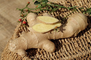 생강의 효능