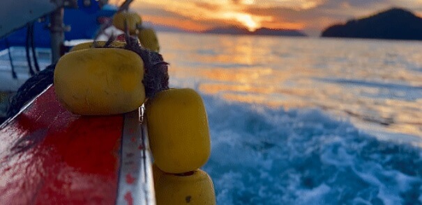 오늘N 이 맛에 산다 통영 다연호 자연산 바다장어 돌문어 구매방법