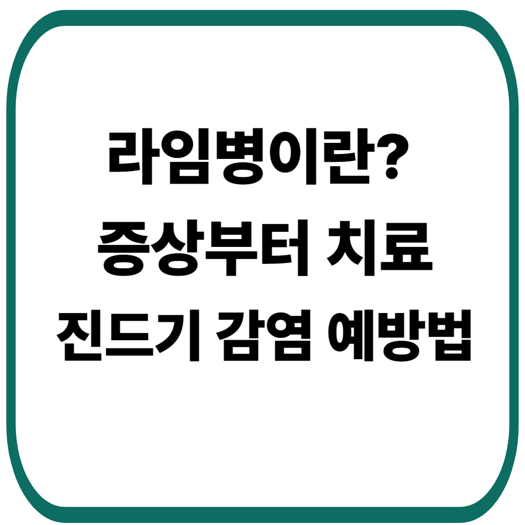 라임병이란? 증상부터 치료