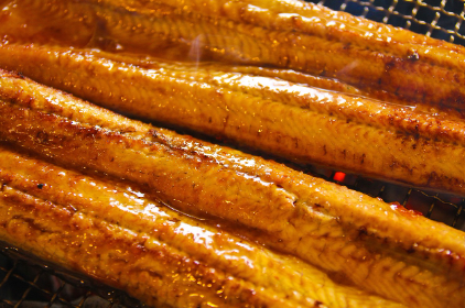 전북 고창의 ‘풍천장어’