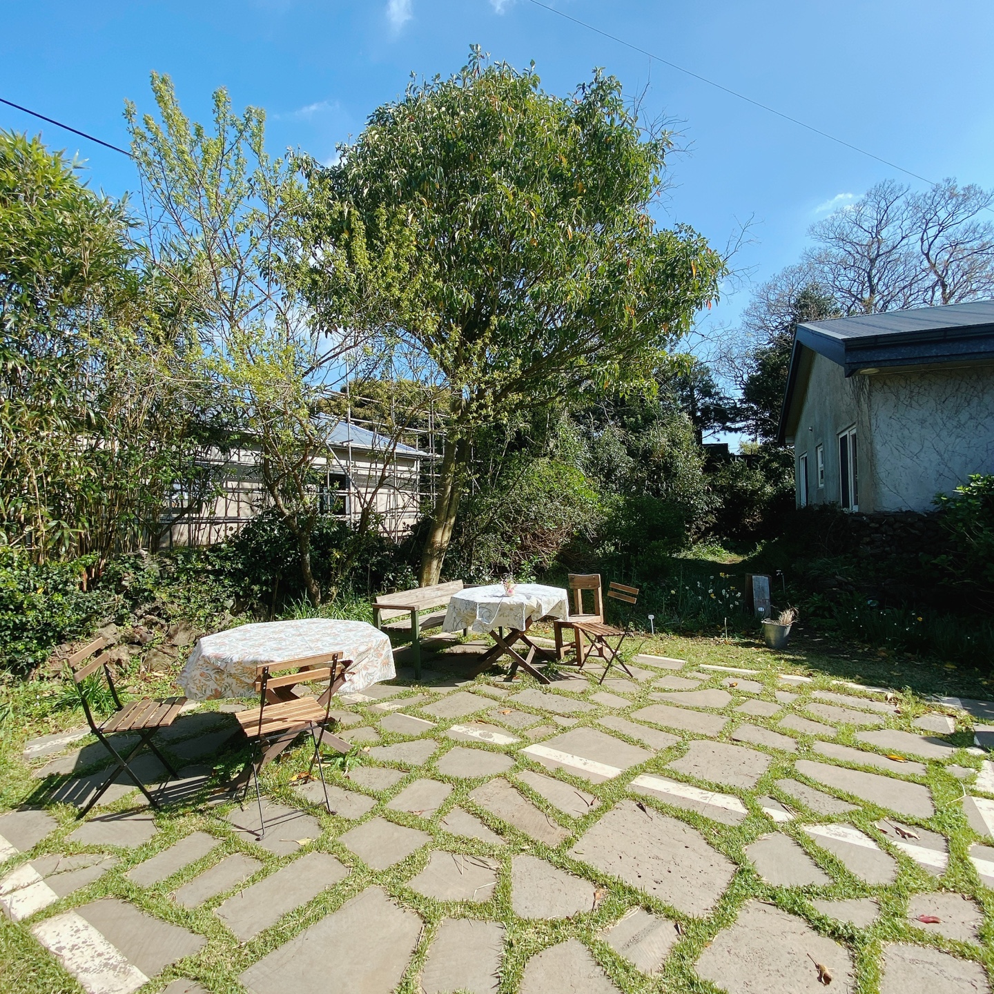 제주 조천 스위스마을 백종원의 3대천왕 당근케이크 구좌상회 카페