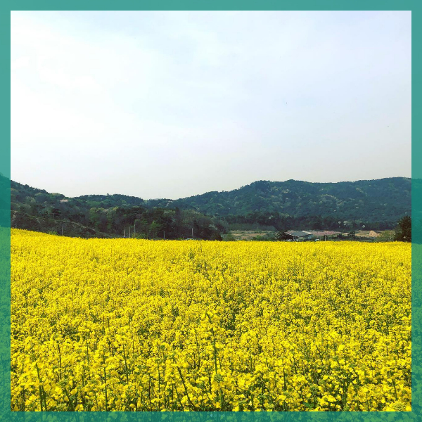 정브-허브원-카페-전경3