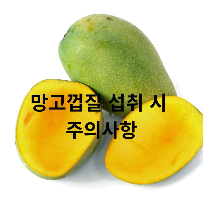 망고껍질 효능과 망고껍질 먹는 방법