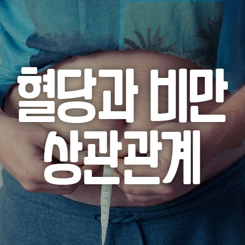 혈당과 비만 상관관계