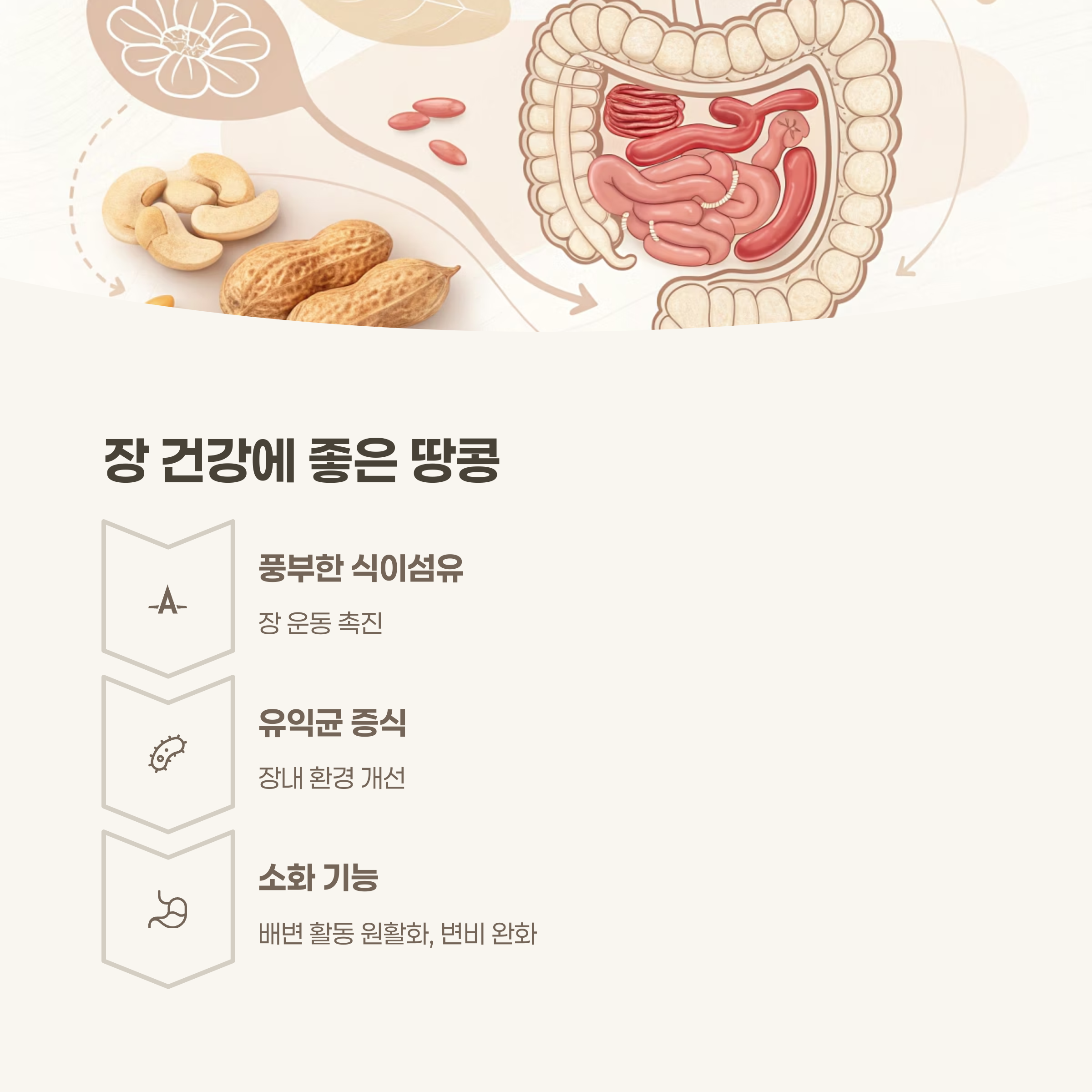 장 건강과 소화 기능 개선