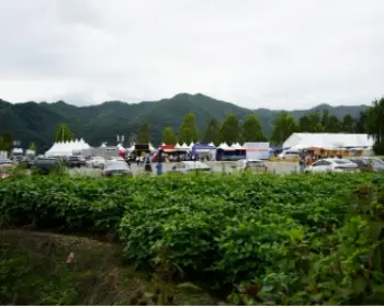 춘천 막국수 닭갈비 축제_20