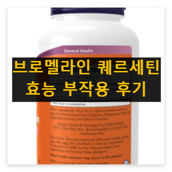 브로멜라인 퀘르세틴