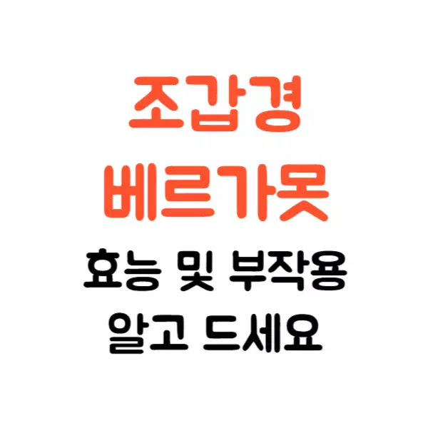 조갑경 베르가못 효능 부작용 알고 드세요