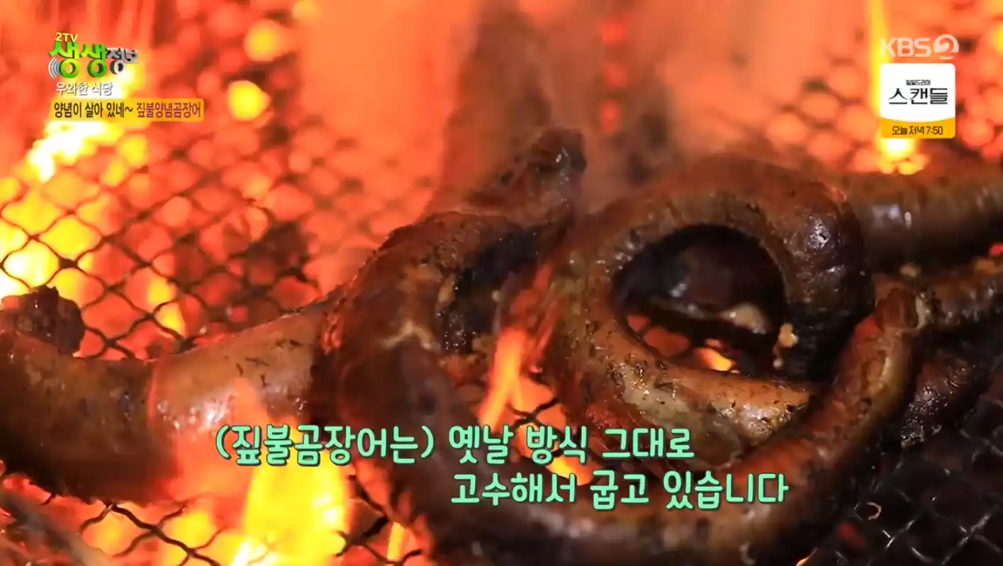 곰장어