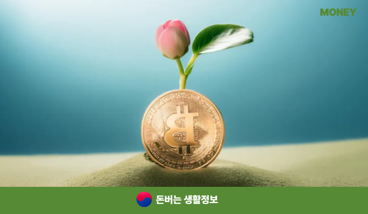 2025년 자동차세 연납