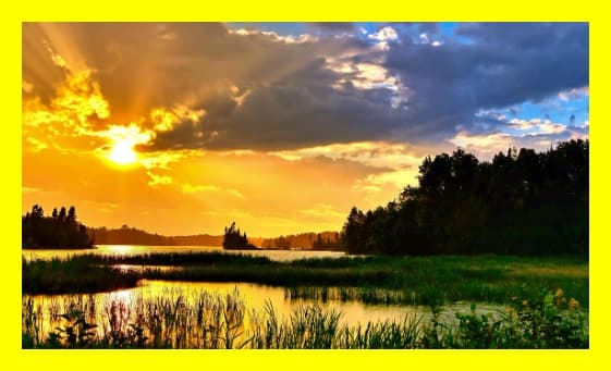 TCFD와 CDP: 기업의 기후 정보 공개 기준 완전 해설