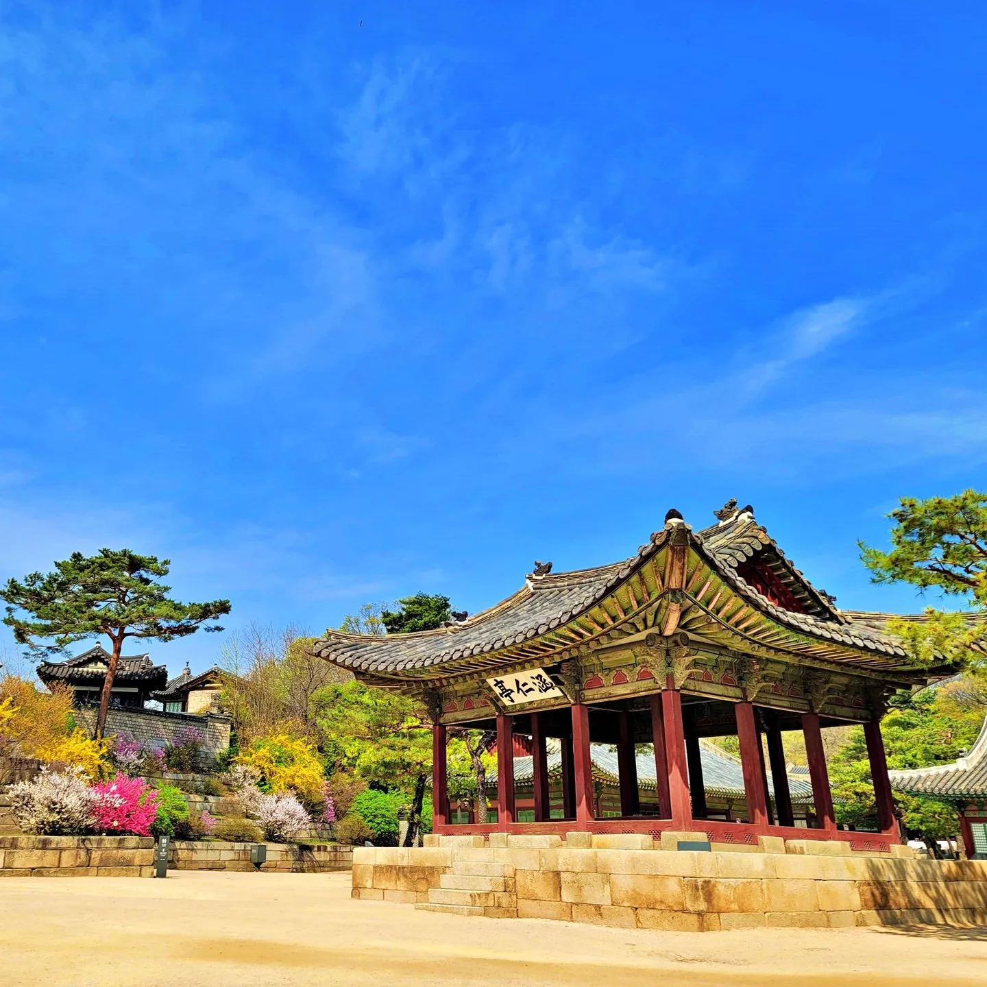 창경궁 특별관람