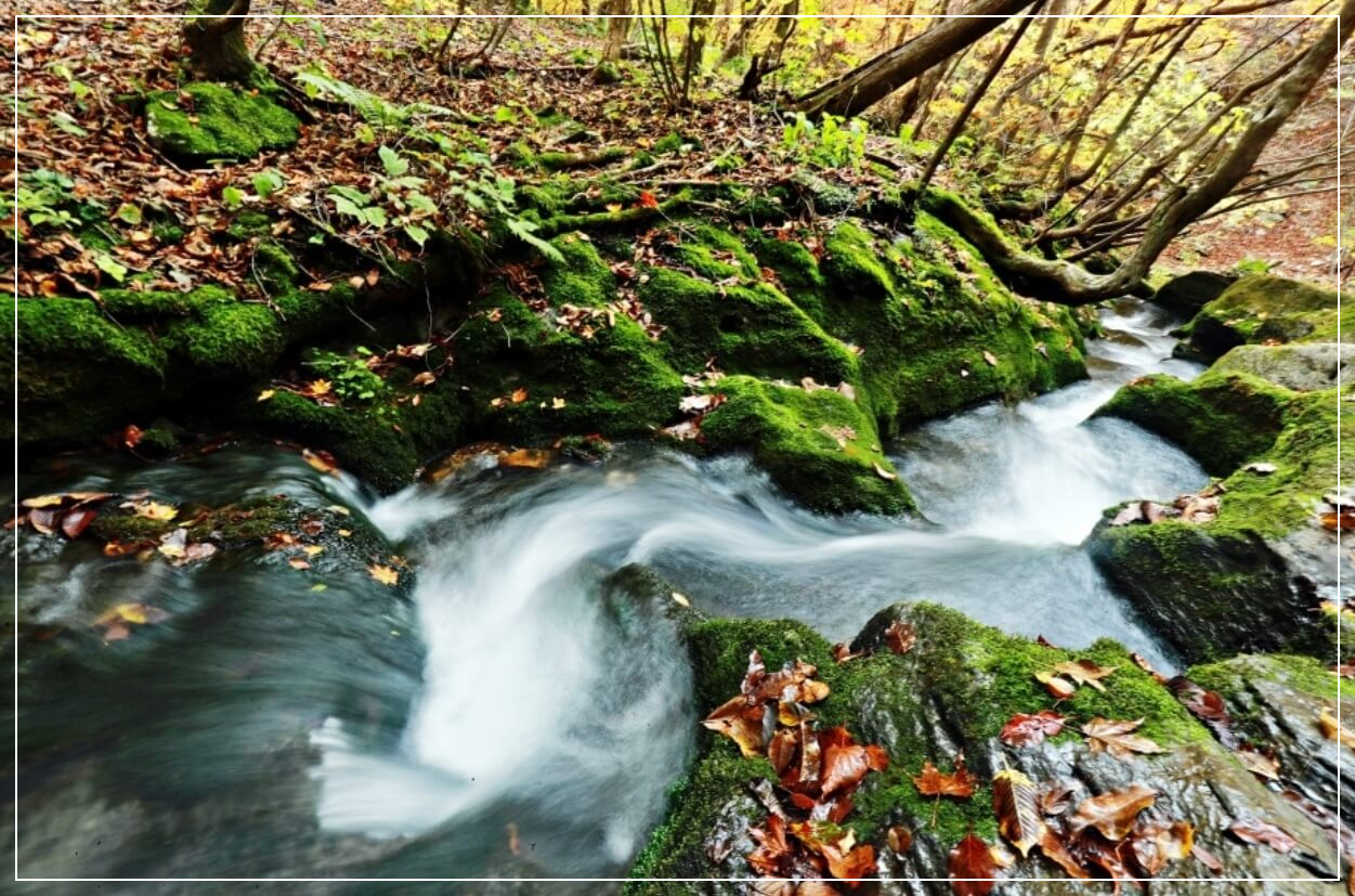 태백 가볼만한곳 베스트10 검룡소