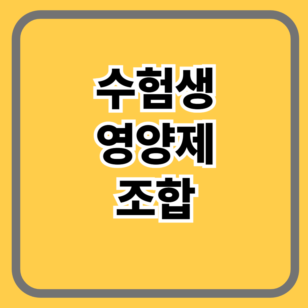 수험생 영양제 조합