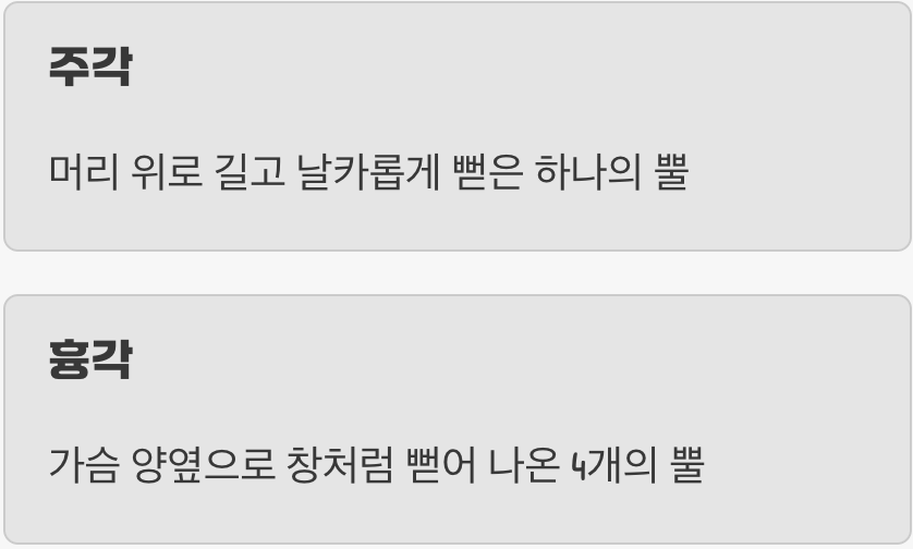 이름처럼, 다섯 개의 뿔