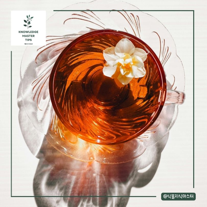 다양한 종류와 특징