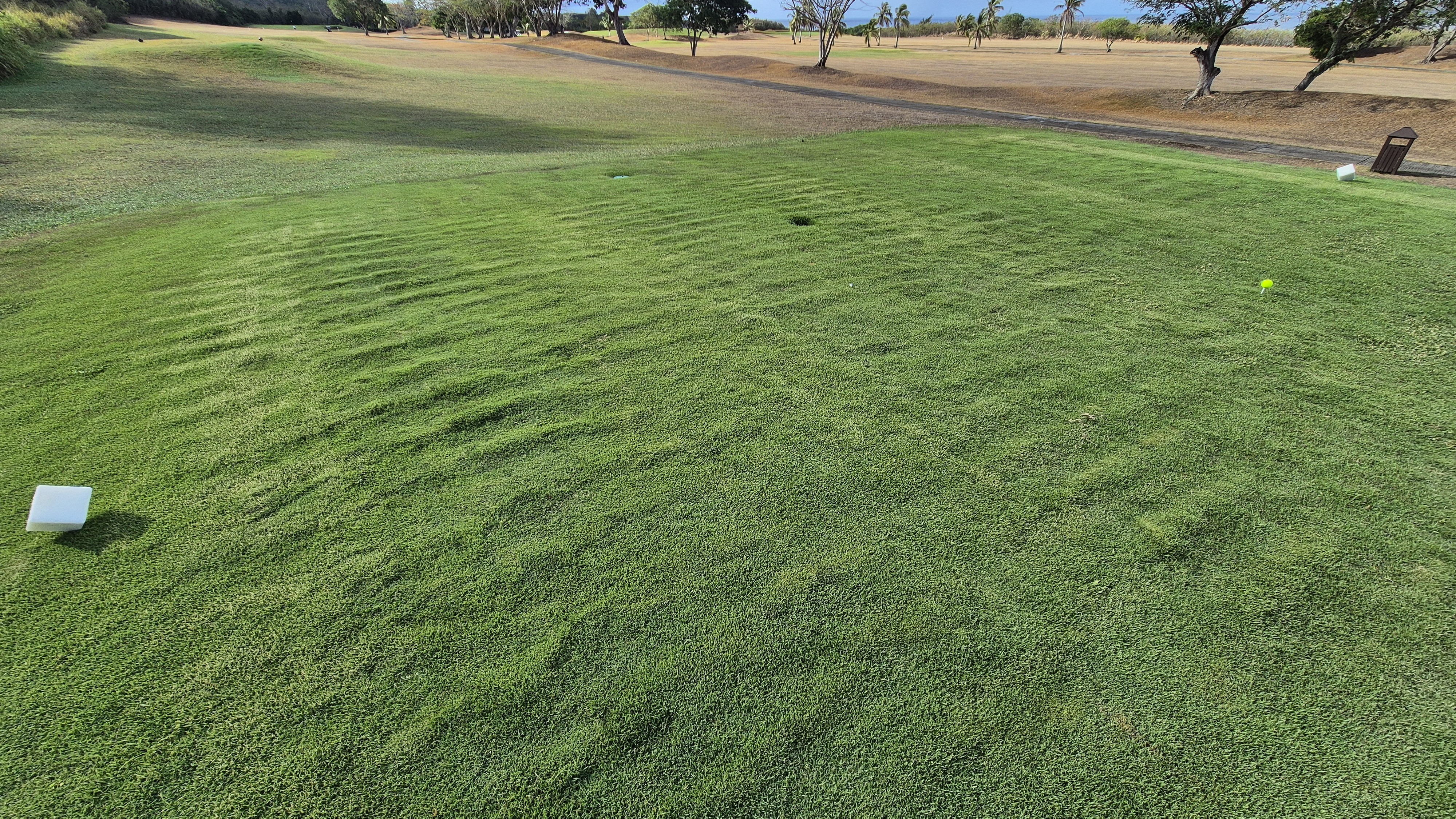 코랄오션cc 골프 라운드