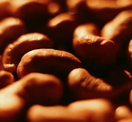 갑상선 기능 항진증에 좋은 음식 영양제 식단