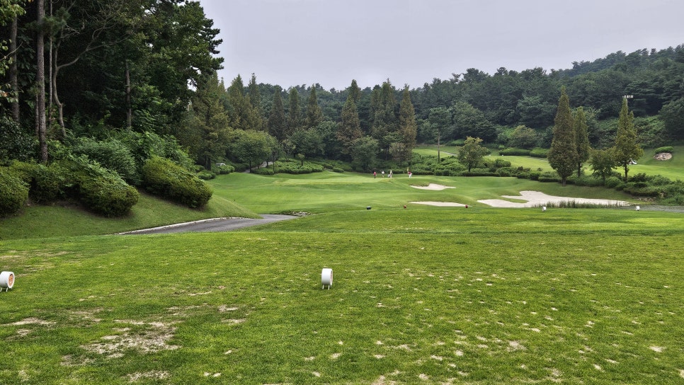 골프장 경험담 여주 세라지오CC 자연 속에서 즐기는 프리미엄 퍼블릭 골프장의 품격