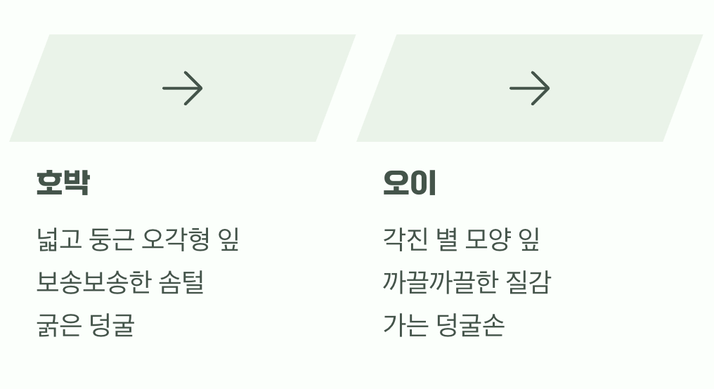 잎사귀와 덩굴손을 살펴보세요