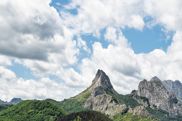 일주일 날씨 예보