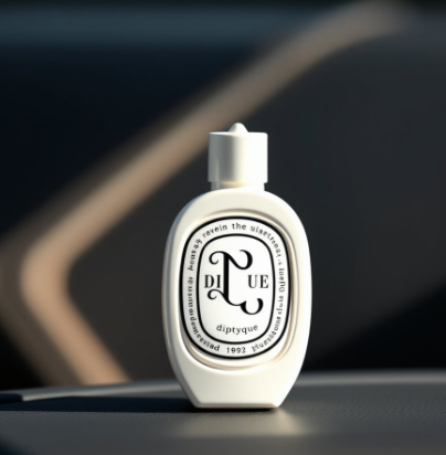 딥디크 차량용 방향제 그림