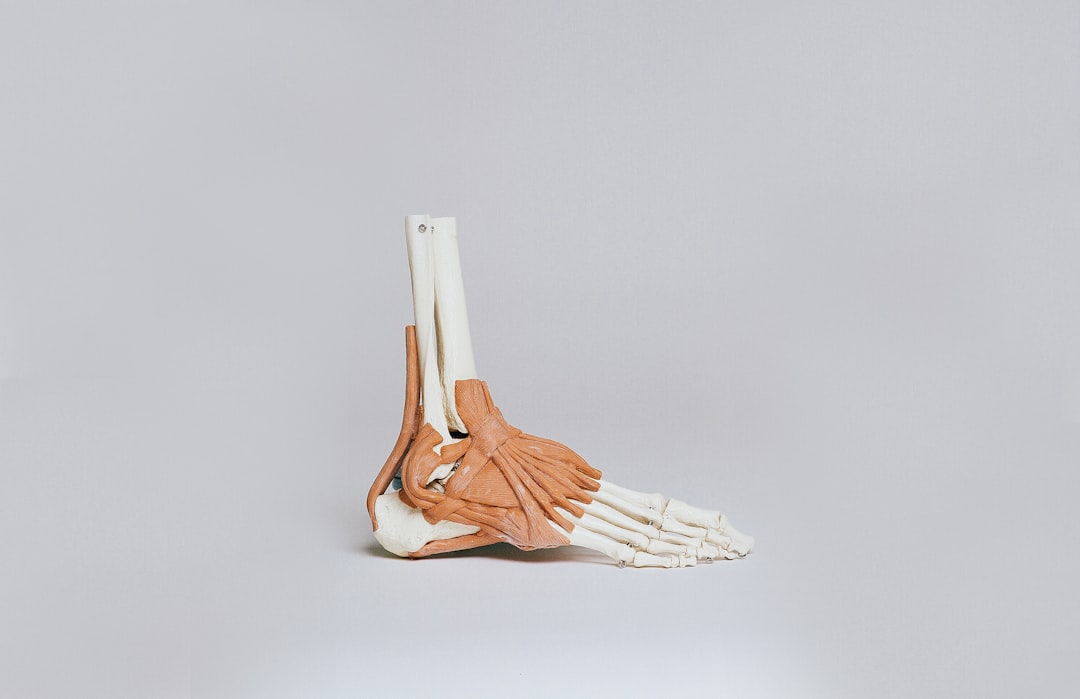 Ligament
