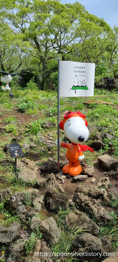 제주스누피가든