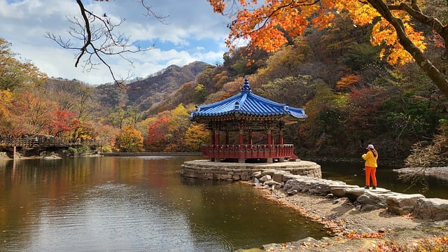 11월 늦가을 국내 여행지 추천 단풍명소 데이트 가족 나들이 주산지 내장산 산굼부리