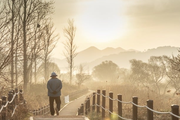 생활지원사 서비스가 필요한 노년층2