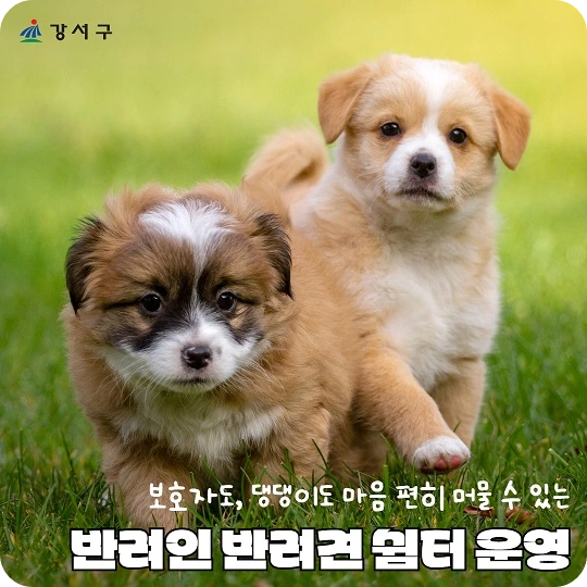 염창동 황금내 화곡동 봉제산 근린공원 강서구 반려견 쉼터 소개 놀이터 위치 운영 시간 이용료 강아지