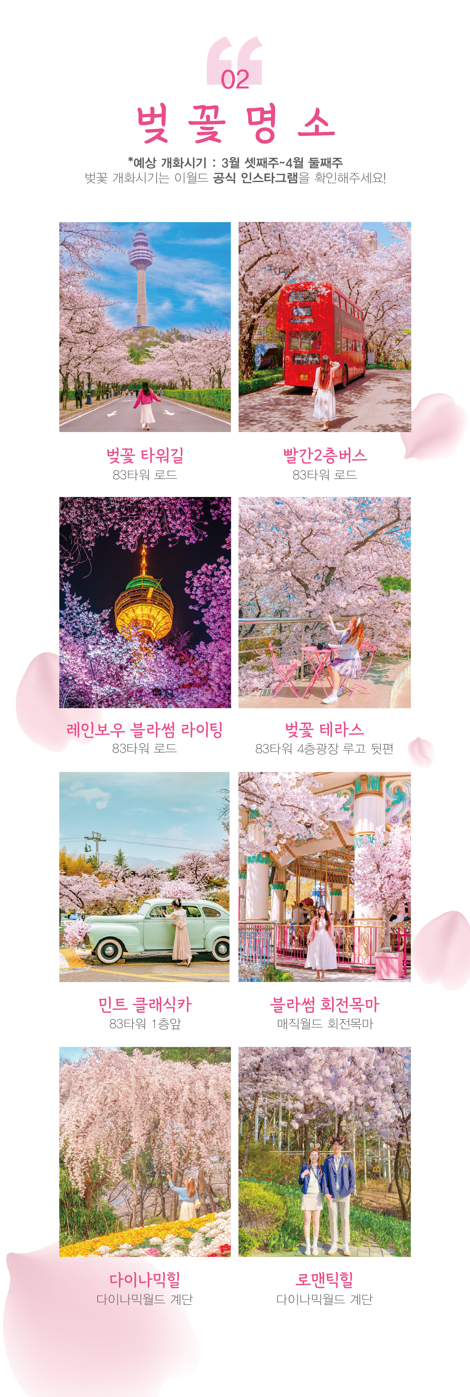 이월드 벚꽃축제 벚꽃명소