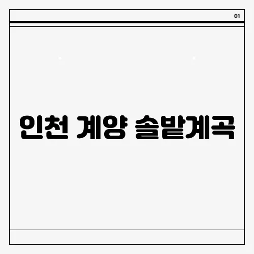 인천 계양 솔밭계곡, 아기와의 소중한 추억 만들기