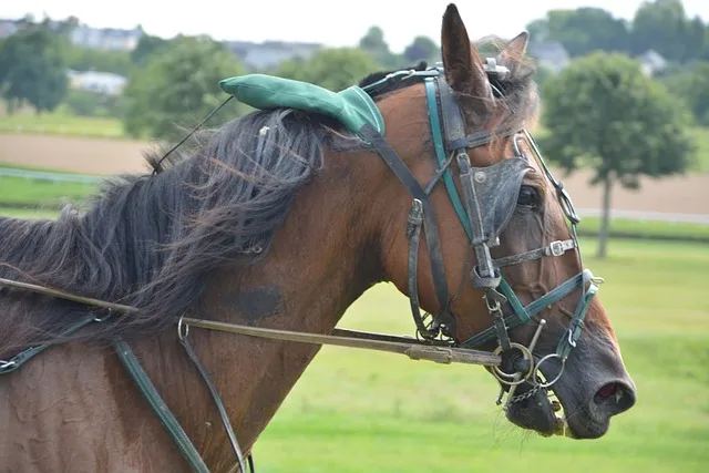 보내 보네 헷갈리는 맞춤법 올바른 표기 완벽 정리_4