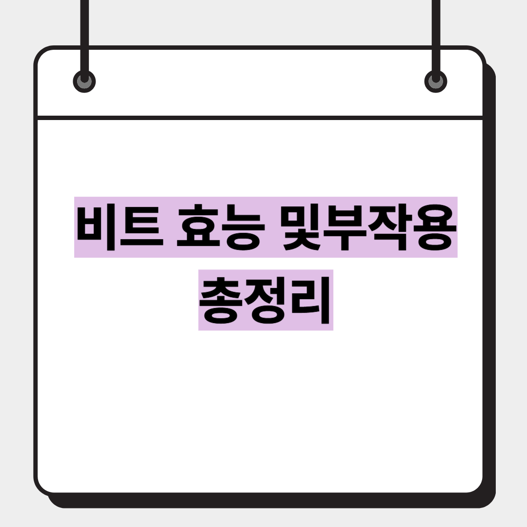 비트 효능 및부작용 총정리