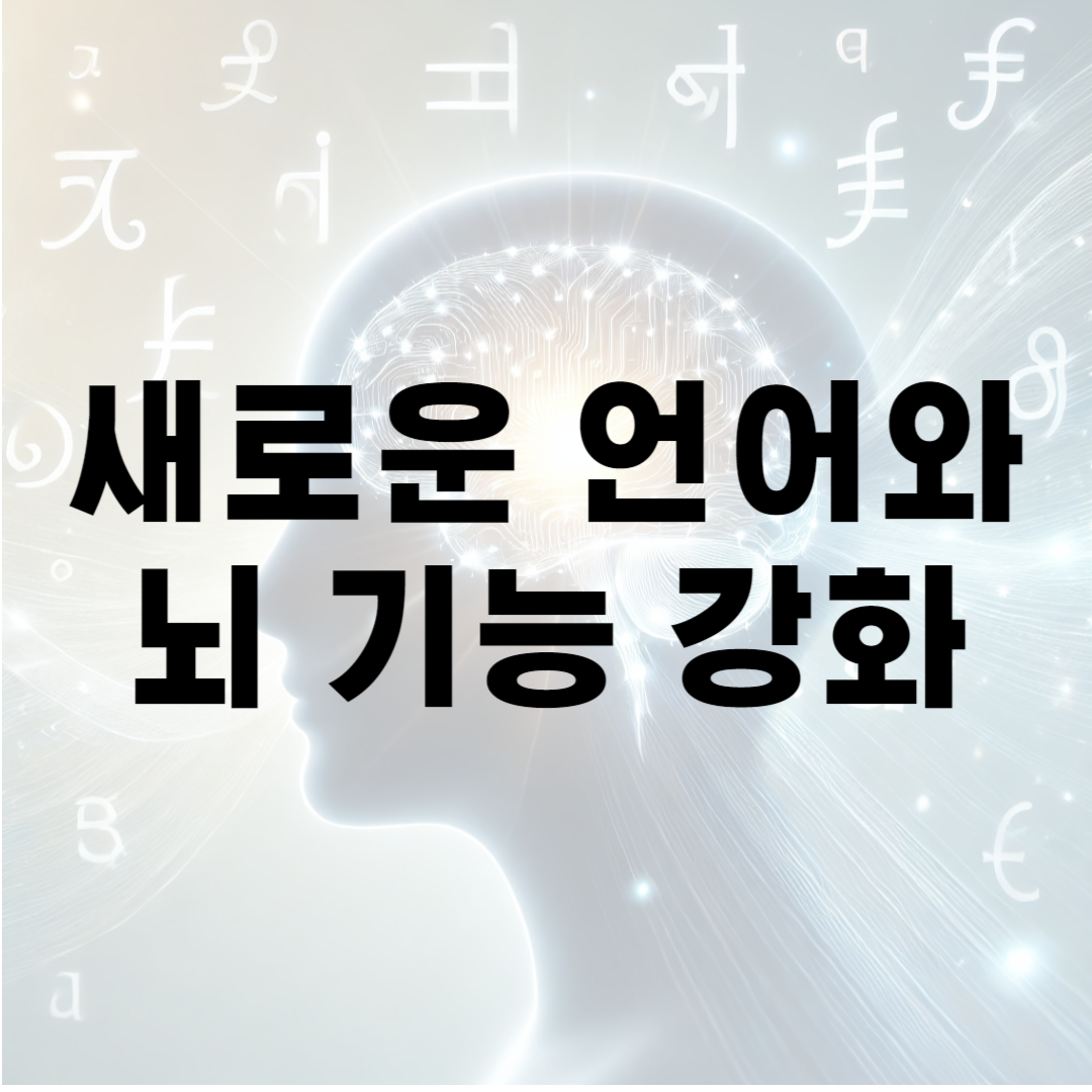 새로운 언어와 뇌 기능 강화