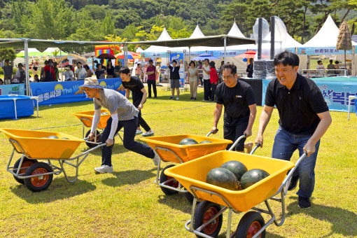 고창 복분자 수박축제