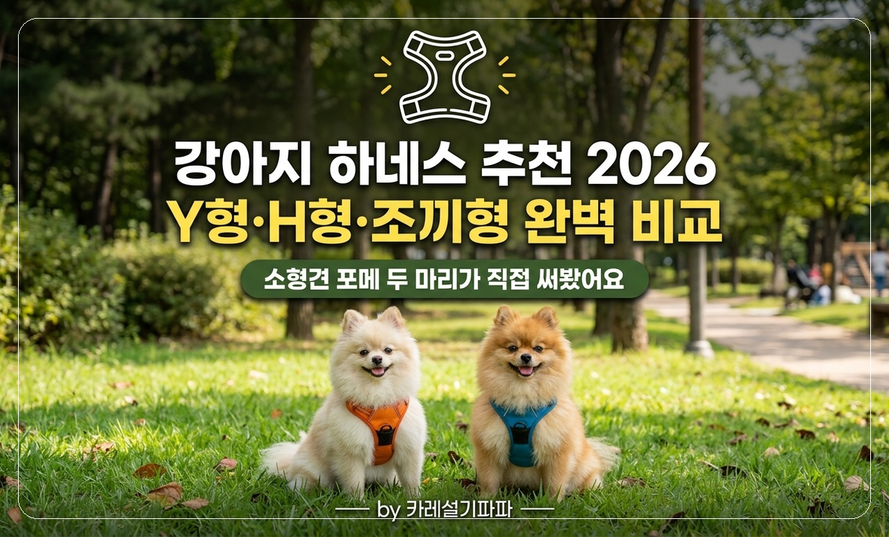 포메라니안 하네스 착용