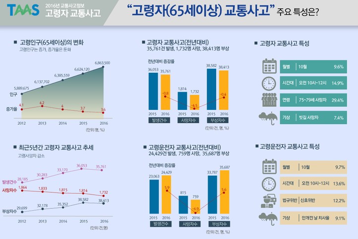 고령자-65세이상-교통사고의-주요-특성