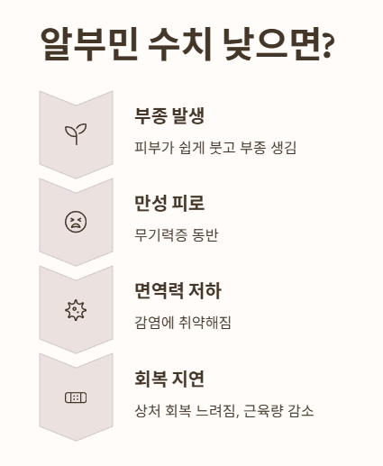 알부민 수치 낮으면?