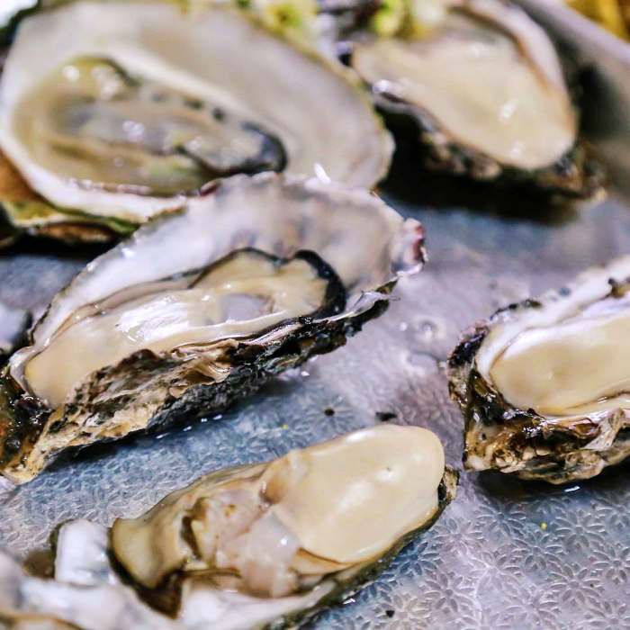 생방송투데이 구례 벚굴 벚굴찜 벚굴구이 맛집